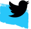 twitter bird icon